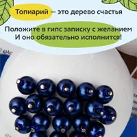 слайд 6