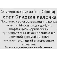 слайд 2