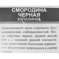 слайд 3