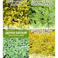 слайд 4