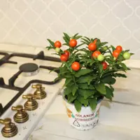 слайд 4