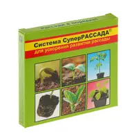 слайд 0