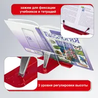 слайд 8