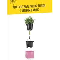 слайд 3