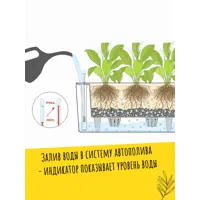 слайд 4