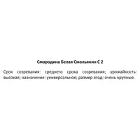 слайд 3