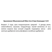 слайд 3