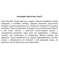 слайд 3