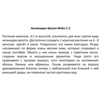 слайд 3