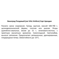 слайд 3