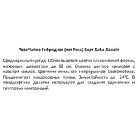 слайд 3