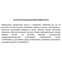 слайд 3