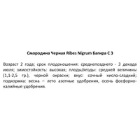 слайд 4