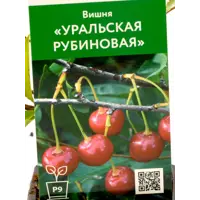 слайд 0