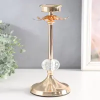 слайд 0