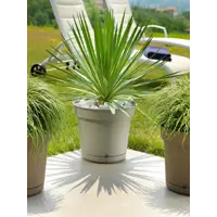 слайд 5
