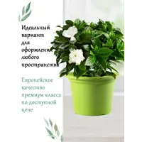 слайд 3