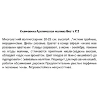 слайд 4