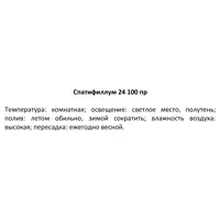 слайд 4