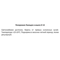 слайд 4