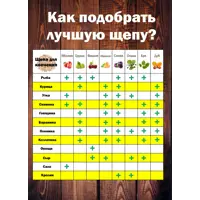 слайд 7