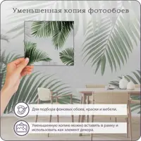 слайд 5