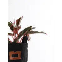 слайд 6