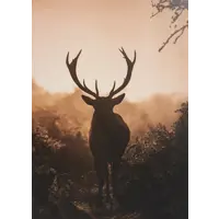 слайд 0