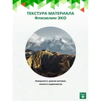 слайд 5