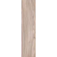 слайд 7