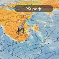 слайд 8