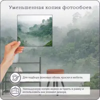 слайд 5