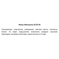 слайд 5