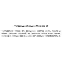 слайд 3