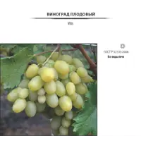 слайд 3