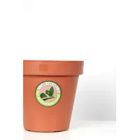 слайд 5