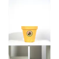 слайд 5