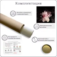 слайд 6