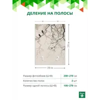 слайд 3