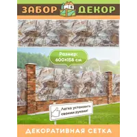 слайд 0