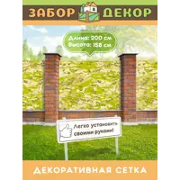 слайд 0