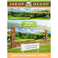 слайд 0