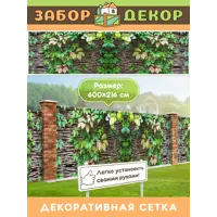 слайд 0