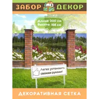 слайд 0