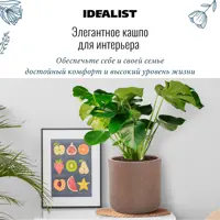 слайд 6