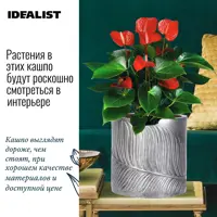 слайд 3