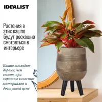 слайд 3