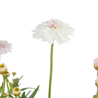 слайд 3