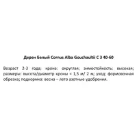 слайд 3