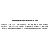 слайд 3